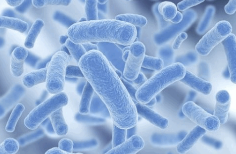 益生菌可以长期吃吗,吃益生菌的最佳时间