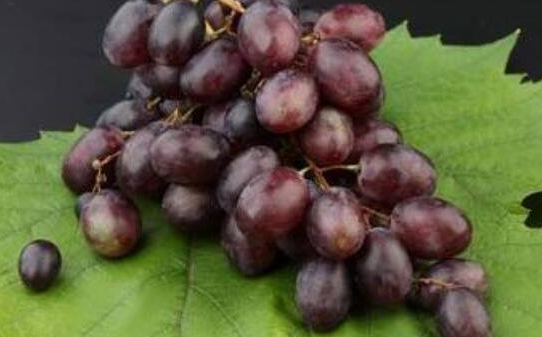 葡萄皮的功效与作用及食用方法