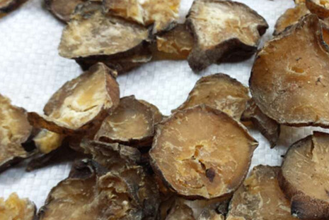 附子的功效与作用，附子的禁忌及副作用