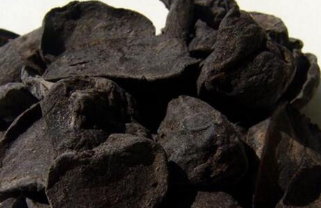 黑附子的功效与作用及禁忌是什么