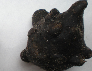 炮附子的功效与作用及禁忌