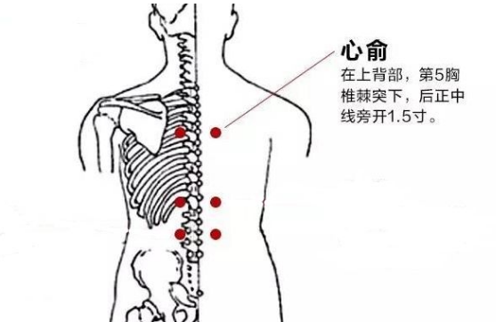 找心腧穴最笨方法，心腧的准确位置图与作用