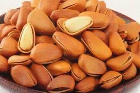 松子是什么树的果实，松子的功效与作用禁忌