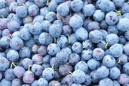 蓝莓一天吃多少为宜，蓝莓吃多少粒会中毒