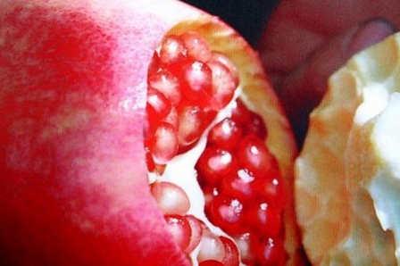 石榴是凉性还是热性，石榴不能和什么一起吃