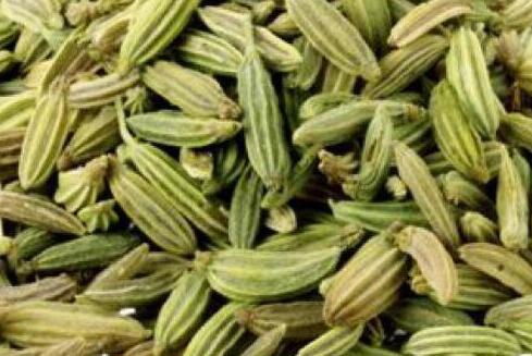 茴香的功效与作用禁忌，茴香治好了我的肠胃