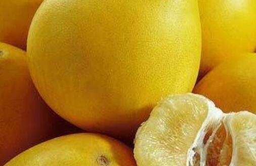 葡萄柚是什么水果，葡萄柚长什么样子