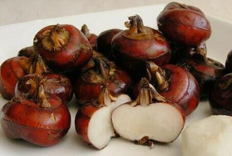 荸荠可以生吃吗，荸荠的功效与作用及禁忌