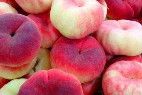 桃子的拼音,桃子的功效与作用禁忌