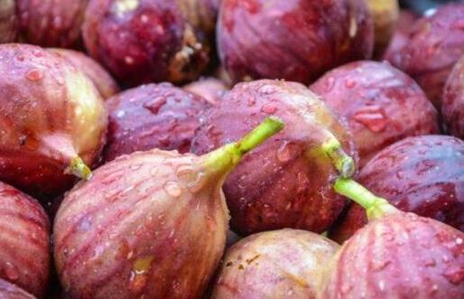 无花果一天吃多少最好，吃无花果的正确方法