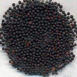 王不留行怎么吃下奶？王不留行的功效与作用