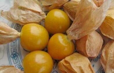 姑娘果孕妇能吃吗，孕妇不小心吃了姑娘果怎么办