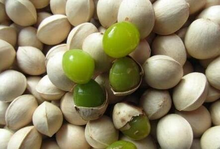 银杏果能吃吗，银杏果的食用方法怎么吃