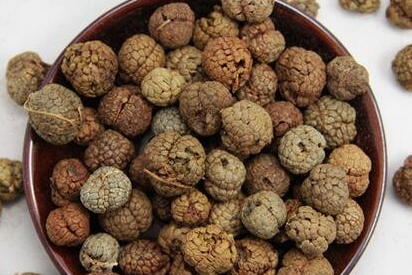 草豆蔻泡水喝的功效,草豆蔻的营养价值