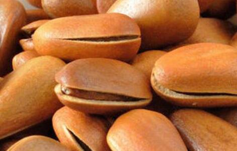 松子一天吃多少粒为宜，小孩每天吃几颗松子好