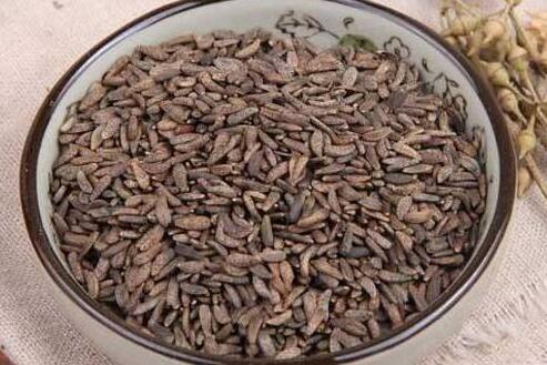 牛蒡子的功效与作用，牛蒡子的副作用及禁忌