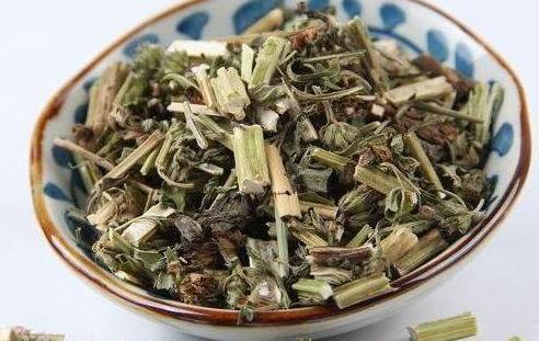 女性常喝益母草好不好，哪些人不能喝益母草