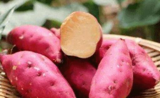 红薯怎么做好吃，红薯不能和什么一起吃