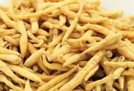 太子参泡水喝的功效与作用，太子参泡水喝的禁忌