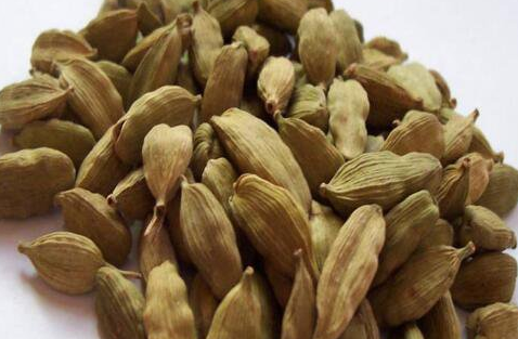 草豆蔻别名又叫什么，草豆蔻是什么科