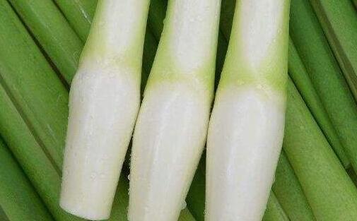 茭白有毒吗，茭白里面的黑点是什么