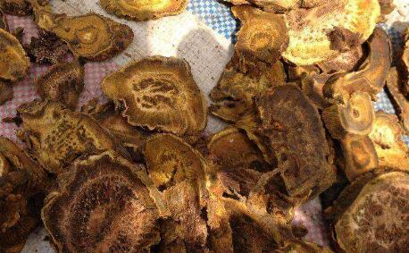 大黄的功效与作用及禁忌