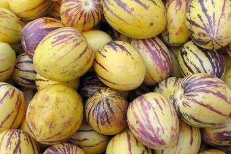 人参果是热性还是凉性，人参果不适宜人群