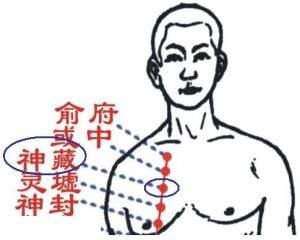 神藏穴的功效与作用，神藏的准确位置图