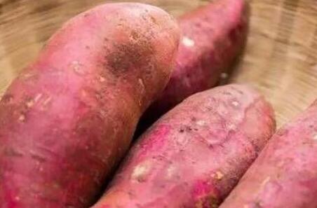 一斤红薯三斤屎，红薯的营养价值及功效与作用