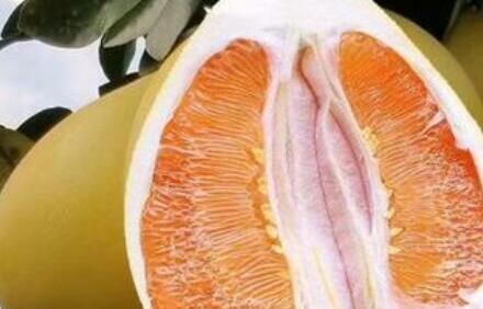 吃葡萄柚会得乳腺癌吗,每天吃葡萄柚会怎么样