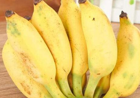 粉蕉吃多了有什么不好,粉蕉一天可以吃几个合适
