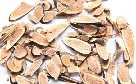 皂角刺配蒲公英的功效与作用