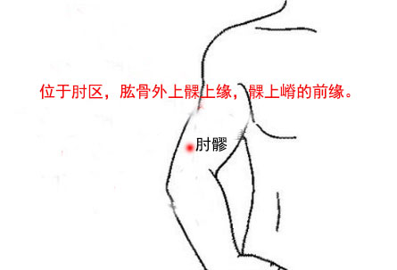 肘髎怎么读？肘髎穴的准确位置图和作用