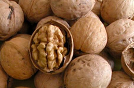 生核桃和熟核桃哪个营养价值高