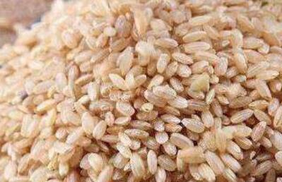 糙米什么人不能吃？糙米的功效与作用及禁忌