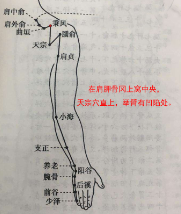 秉风穴的简单找法，秉风的准确位置图和作用