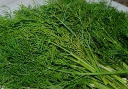 哪些人不适合吃茴香菜，茴香菜还有什么别名