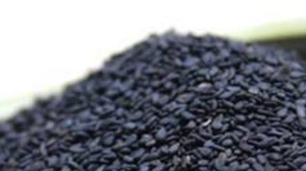 黑芝麻的功效与作用，黑芝麻的副作用