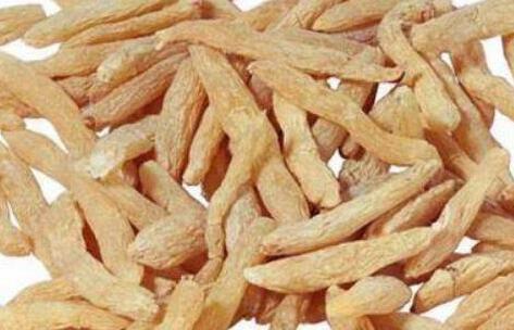 太子参可以每天泡水喝吗，太子参和什么泡水喝好