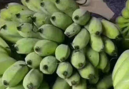 粉蕉的热量是多少，一根小米香蕉的热量