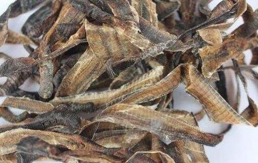 地龙的功效与作用，地龙的禁忌及吃法