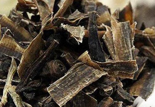 地龙的功效与作用，地龙的禁忌及吃法