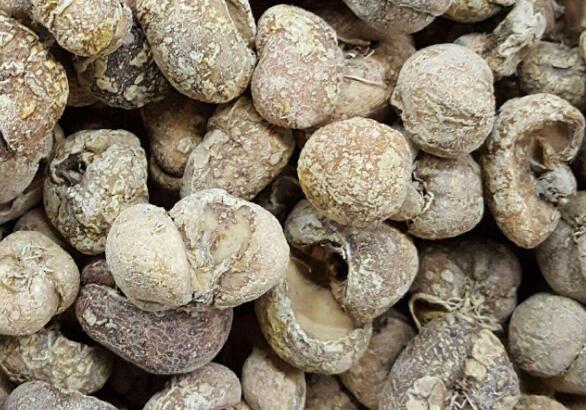 浙贝母一次吃多少克，浙贝母的禁忌和副作用