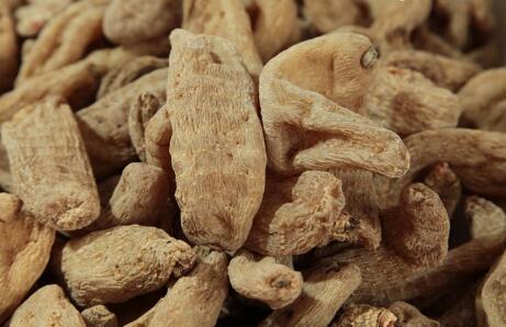 生地熟地的功效与作用分别是什么？