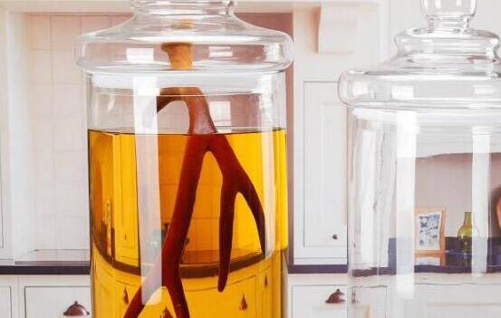 鹿茸泡酒的功效与禁忌，鹿茸泡酒配方大全