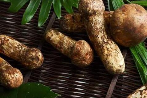 松茸的营养价值与功效，吃松茸的禁忌