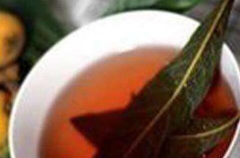 枇杷叶怎么煮水止咳，枇杷叶煮水的功效与禁忌