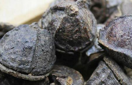 一口钟泡茶能天天喝吗，什么人不能吃一口钟