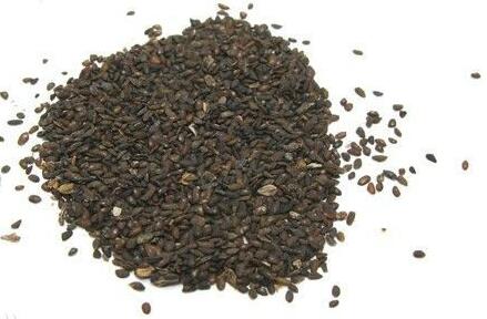 车前子怎么吃，车前子的药用价值及食用方法