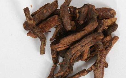 骨碎补别名，骨碎补泡酒功效与配方